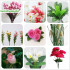 Artificial flower machine Bone shooter Artificial pattern machine Vertical injection molding machine