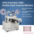 Fully Automatic Double-head Cable Terminal Machine  Cutting Line Stripping Crimping Machine